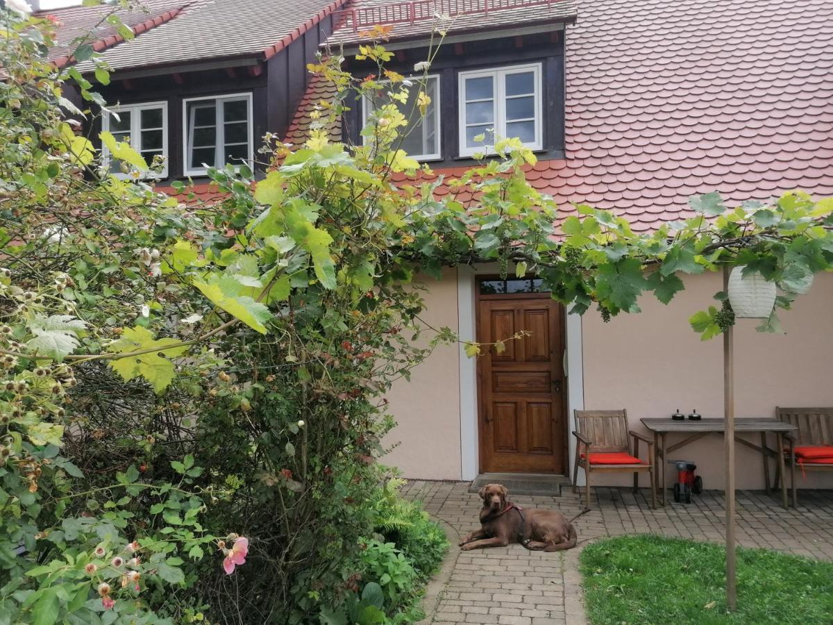 Ferienwohnungen Wastl Fraenkische Schweiz Hiltpoltstein Exteriér fotografie